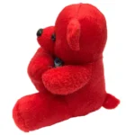 عروسک خرس قلب به دست کد 01 با ارتفاع 15 سانتی متر - Image 2