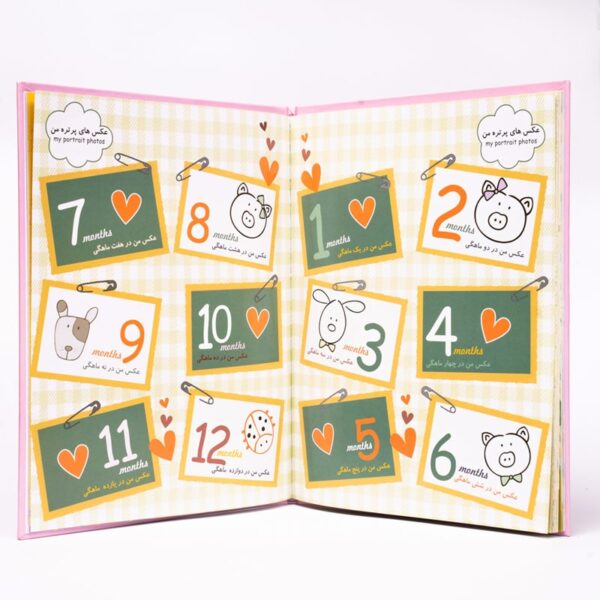 آلبوم خاطرات نوزاد طرح خرس خاکستری - Image 9