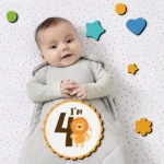 استیکر چوبی مدل حیوانات سایز بزرگ زمینه عکاسی ماهگرد - Image 4