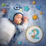 استیکر چوبی تزیینی ماهگرد مدل حیوانات سایز کوچک - Image 3