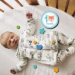 استیکر چوبی تزیینی مدل ماهگرد سایز کوچک حیوانات - Image 2