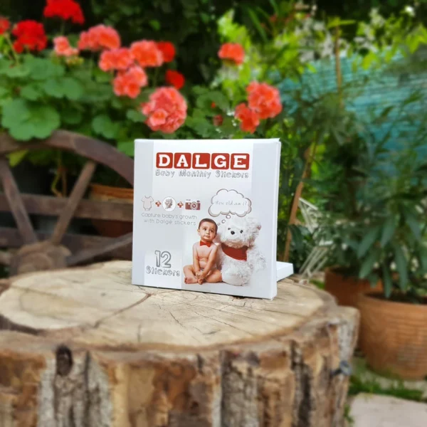 استیکر ماهگرد دالگه مجموعه 14تایی نوزاد - Image 4