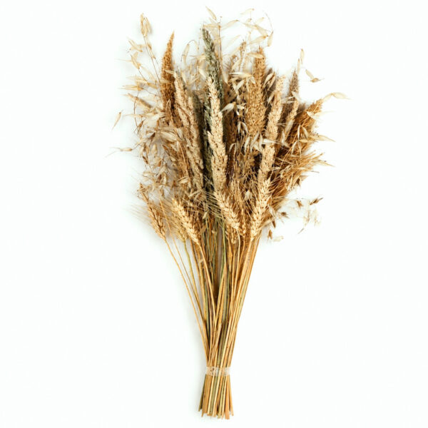 گل خشک ورنو مدل میکس - Image 1