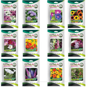 بذر گل های باغچه ای با رویش آسان گلبرگ پامچال کد G-P-GP-012 مجموعه 12 عددی