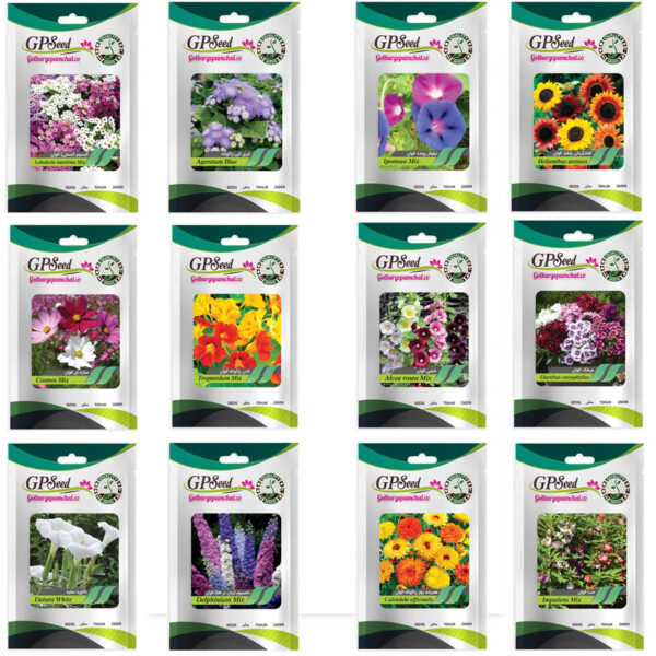 بذر گل های باغچه ای با رویش آسان گلبرگ پامچال کد G-P-GP-012 مجموعه 12 عددی - Image 1