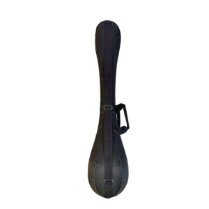 هارد کیس سه تار مدل MP01919