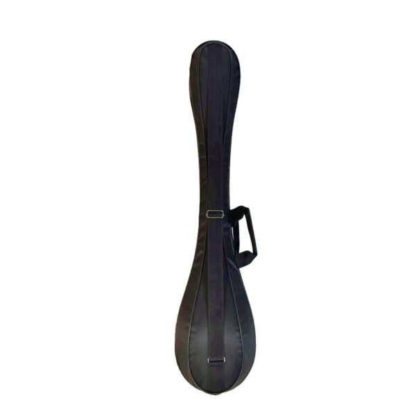 هارد کیس سه تار مدل MP01919 - Image 1