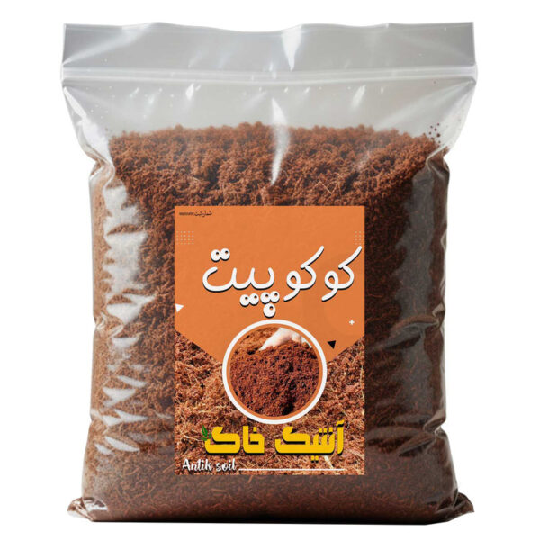 کوکوپیت آنتیک خاک مدل 4LR وزن 1 کیلوگرم - Image 1