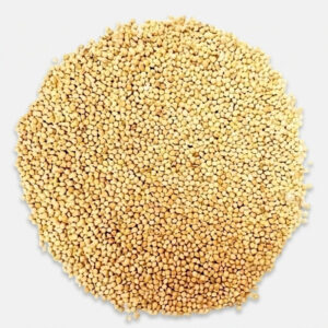 غذای پرندگان مدل ارزن وزن 4 کیلوگرم