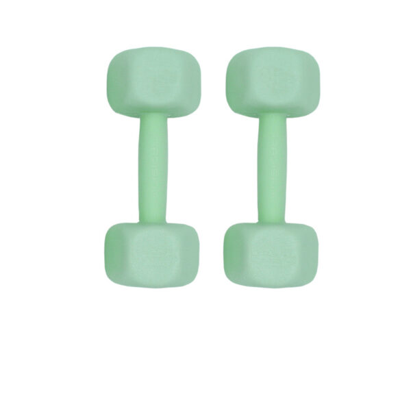 دمبل ایروبیک وزن 2.5 کیلوگرم رادیس فیت مدل RPHF-Fit 2500 بسته دو عددی - Image 1