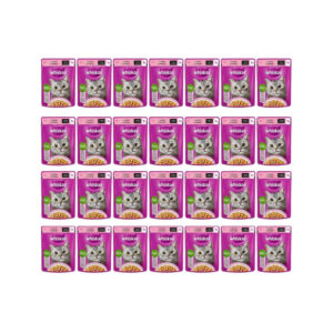 پوچ گربه بالغ ویسکاس مدل GRAVY با طعم ماهی سالمون وزن 85 گرم بسته 28 عددی