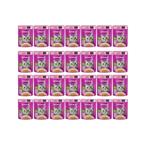 پوچ گربه بالغ ویسکاس مدل GRAVY با طعم ماهی سالمون وزن 85 گرم بسته 28 عددی - Image 1