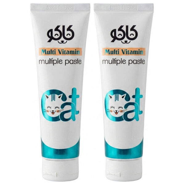 خمیر مولتی ویتامین گربه کاکو مدل Multiple Paste وزن 100 گرم بسته 2 عددی - Image 1
