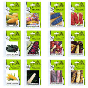 بذر ذرت همه رنگ آرکا بذر ایرانیان کد ARK-A-ARK-012 وزن 200 گرم مجموعه 12 عددی