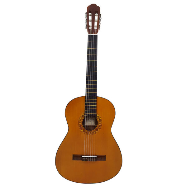 گیتار مدل C40 - Image 1