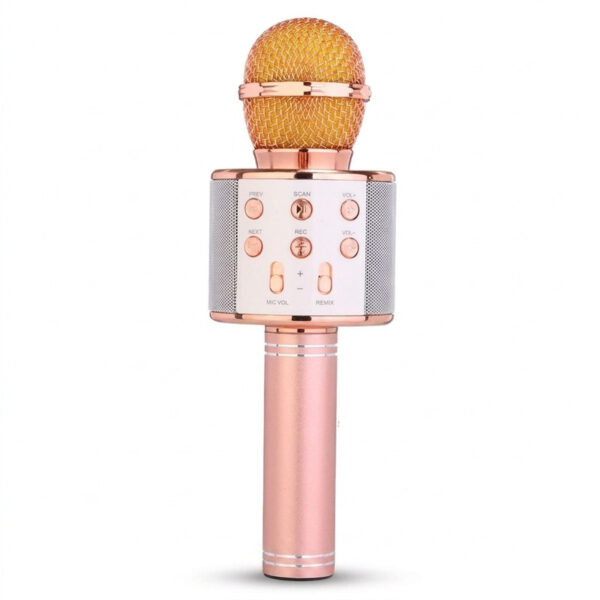 میکروفون اسپیکر مدل WS-858 - Image 1