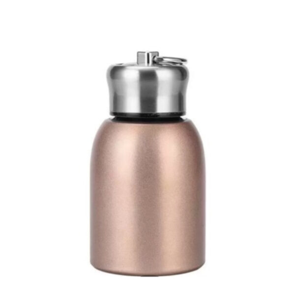 فلاسک مدل SML گنجایش 0.3 لیتر - Image 1