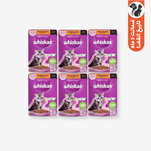 پوچ بچه گربه ویسکاس مدل Junior وزن 85 گرم بسته 6 عددی - Image 1