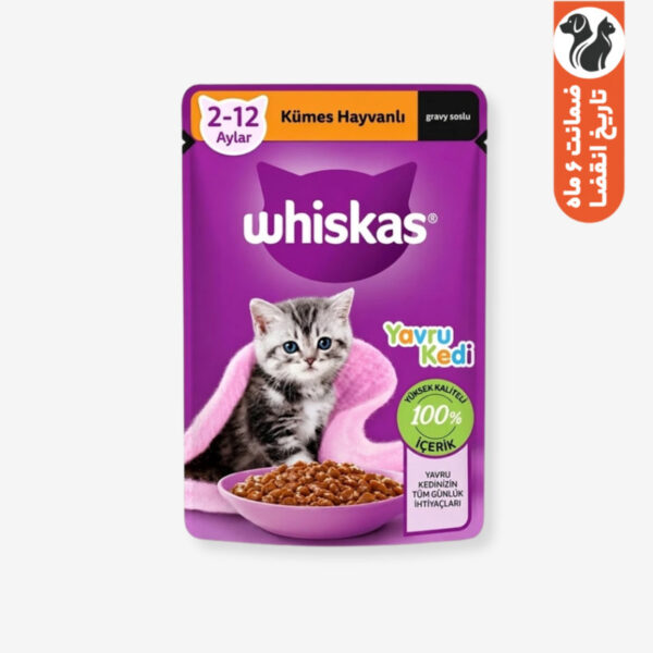 پوچ گربه ویسکاس مدل جونیور خورشتی در سالسا وزن 85 گرم بسته 5 عددی - Image 1