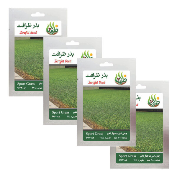 بذر چمن خارجی اسپرت چهار تخم ظرافت مدل BZ9663 مجموعه 4 عددی - Image 1