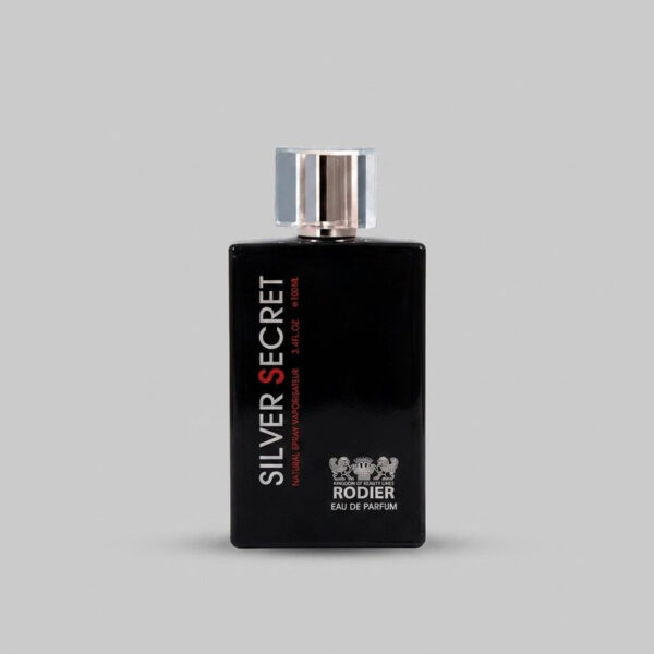 ادو پرفیوم مردانه رودیر مدل Silver Secret حجم 100 میلی لیتر - Image 1