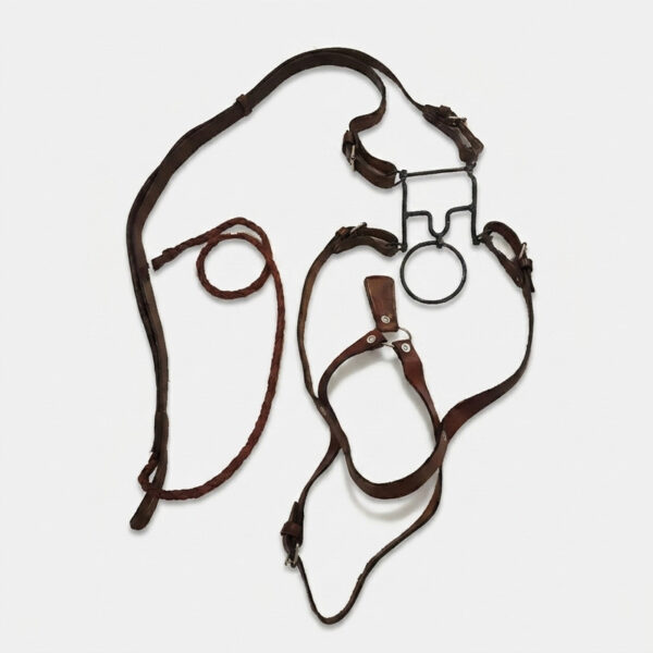 ست کلگی و دهنه اسب مدل 001 - Image 1