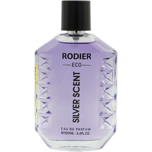 ادوپرفیوم مردانه رودیر مدل SILVER SCENT با رایحه گرم حجم 100 میلی لیتر