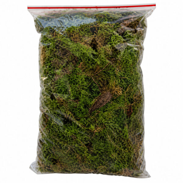 خزه طبیعی مدل a5 وزن 80 گرم بسته 5 عددی - Image 1