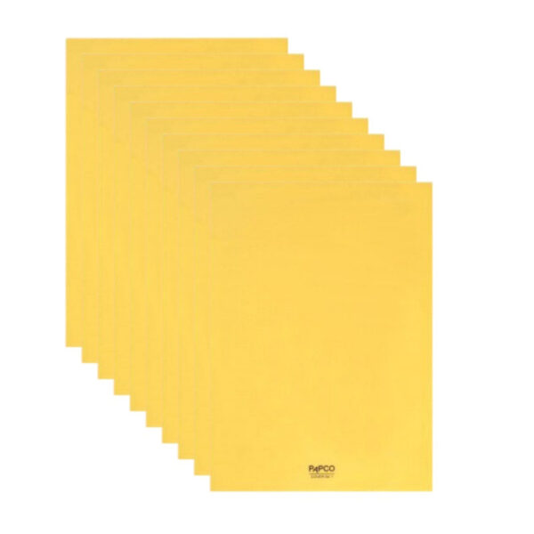 طلق پاپکو مدل cover A3 بسته 10 عددی - Image 1