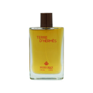 ادوپرفیوم مردانه وودی سنس مدل TERRE D’HERMES با رایحه تلخ حجم 100 میلی لیتر